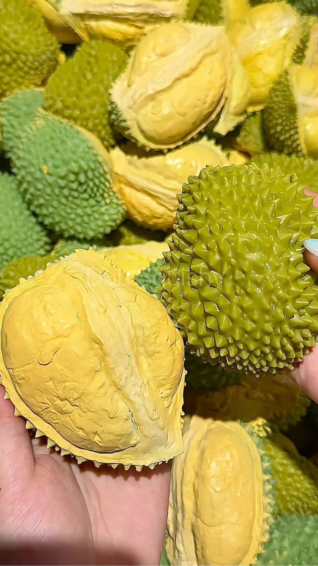 Close-up of the durian squishy showing spiky shell and creamy flesh detail