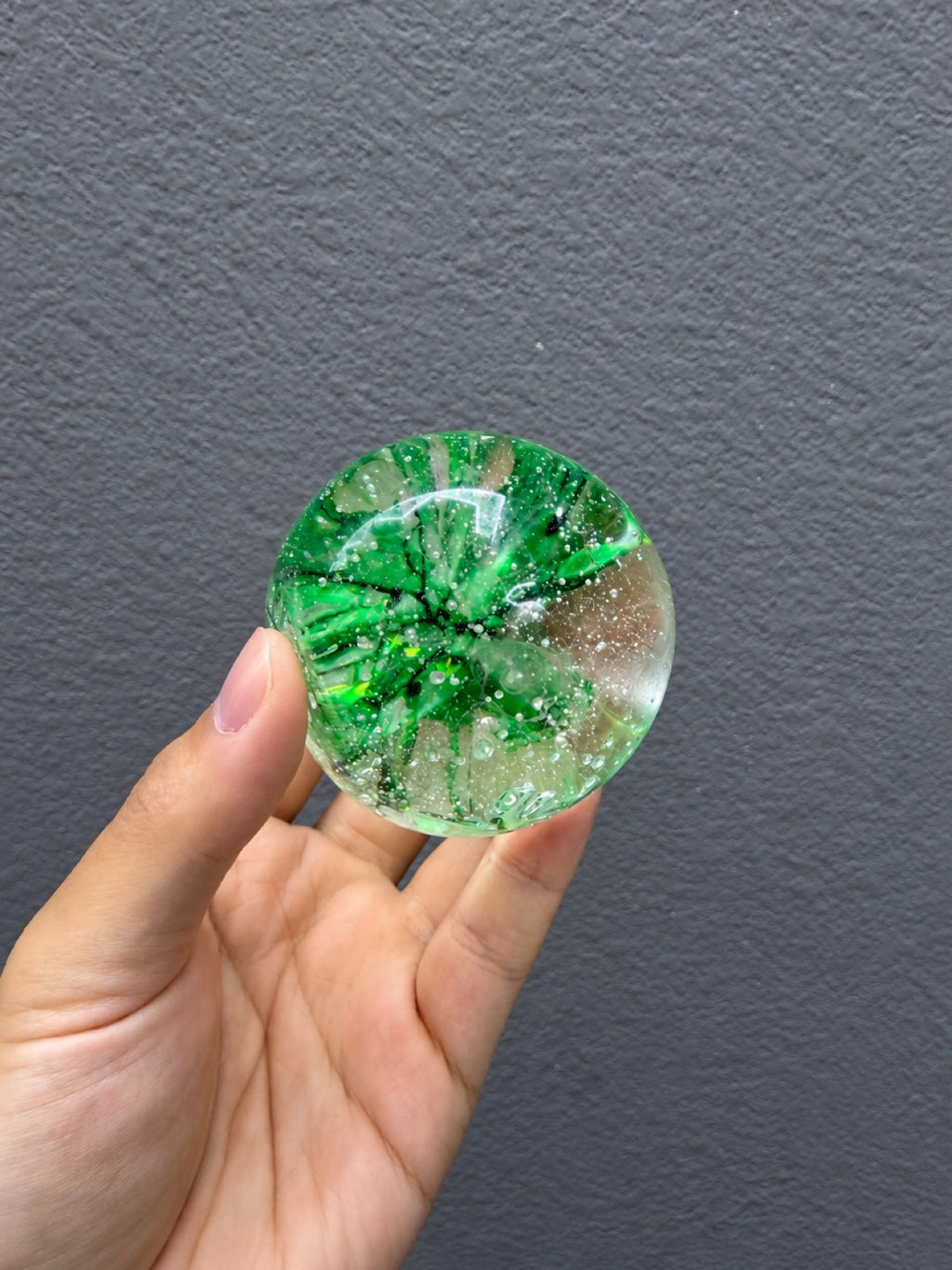 Malt Sugar Squishy - Green