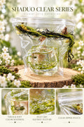 SHADUO Clear Series Forest Moss Jelly Jar Squishy